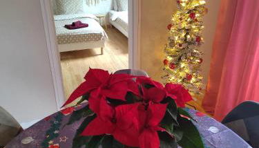 Le Nid - Appartement avec extérieur - Photo 3