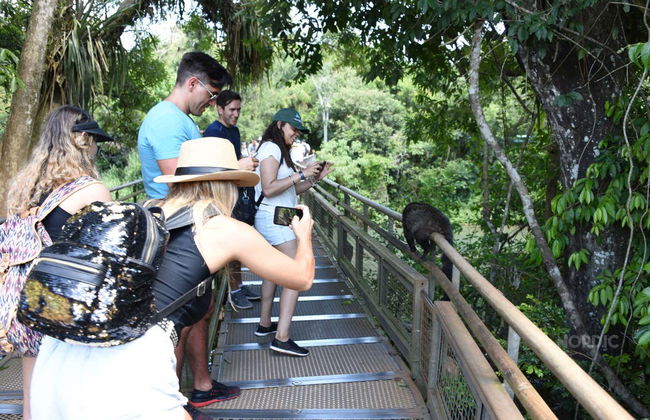 Cascades d'Iguazu (côté argentin) - Photo 7