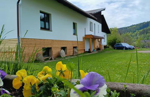 Smrek Sokolec Agroturystyka - Foto 1