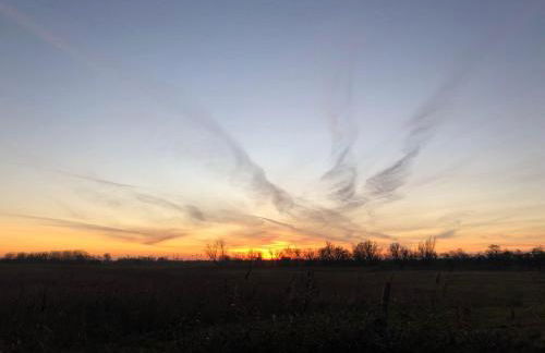 Ferienhof-Micheel-Haeuser-bis-7-Personen - Foto 29