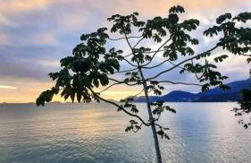 Casa de praia no paraíso de Angra! - Foto 28