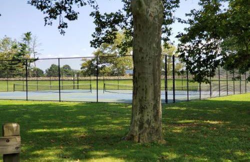 Sunshine Room by harbor downtown beach I-95&Train - Foto 9