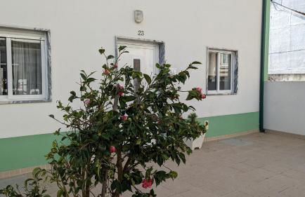 Casa Domingues Guest House - Foto 18