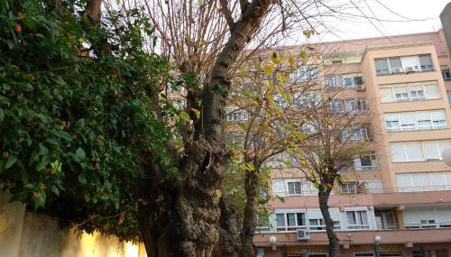 Apartamento Ecuador - Photo 2