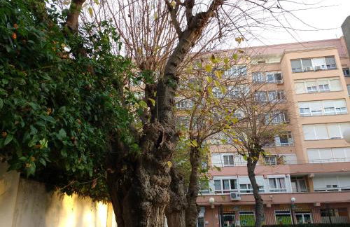 Apartamento Ecuador - Photo 2