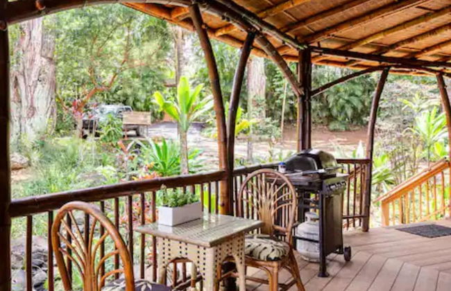 Hawaiian Dream Temple - Foto 11