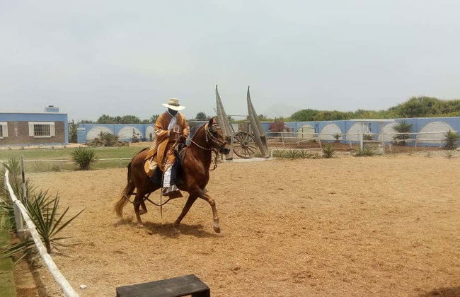 Chimu & Moche Cultures Tour + Marinera Show - Photo 2