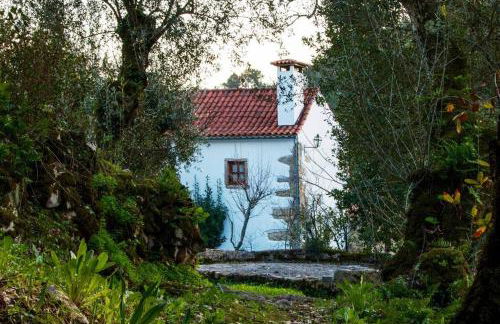 Casa do Vale do Papo - Foto 51