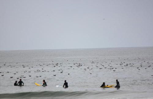 Casa dos meus avós -Villas - Gaia & Porto - Foto 79