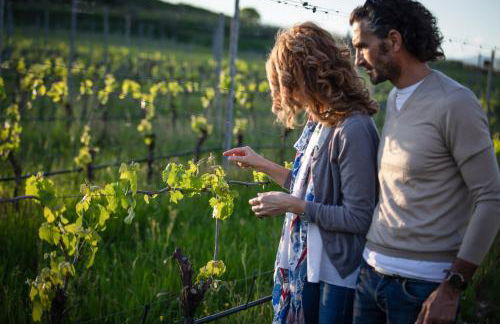 COBUE "Wine resort & Spa" - Foto 13