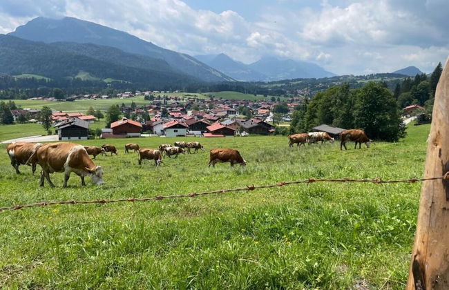 Holiday Apartment Dosbach - Foto 22