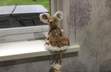 Ancrum House - Foto 35