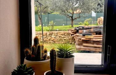 Brin d'Olivier en Luberon - Foto 17