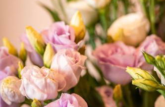 Agriturismo Tenuta Cantagallo - Foto 13