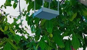 Appartamento Venturina Terme - Foto 2