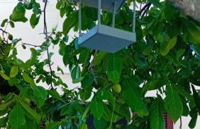 Appartamento Venturina Terme - Foto 2