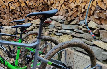 FaFeWo Ferienwohnungen mit Sternekomfort in Tanne Harz - Foto 47