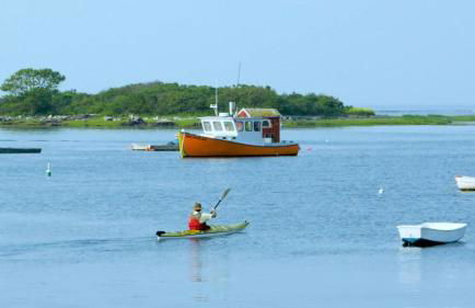 Anne's Adagio - Photo 42