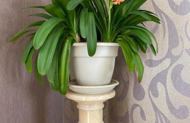 Gîte du Mercadal Les Pujols - Foto 55