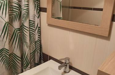 appartement hyper centre ville au 1er étage - Foto 4