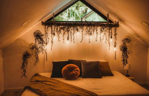 Tiny Cabin in RRG - The Naturalist - Foto 20