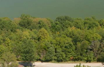 serenity cabins forest view - Photo 9