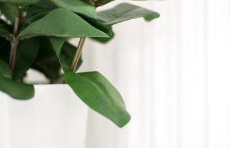 Your cozy downtown home - Apartment - Foto 20