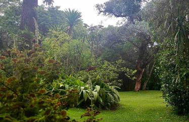 Reserva Atibaia / Casa de Montanha - Photo 40