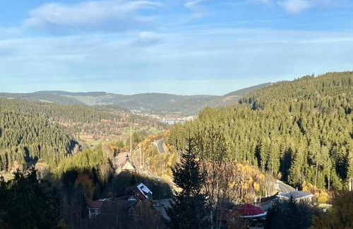 Apartment Falkennest - mit Blick auf den Titisee by Interhome - Foto 7