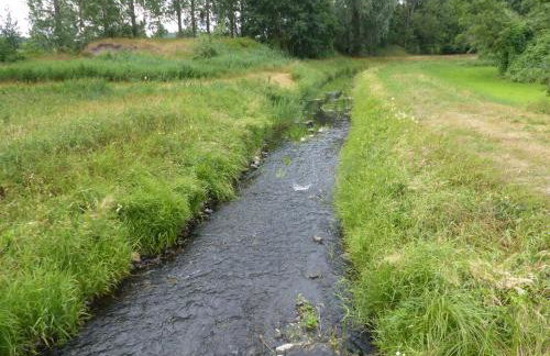 Jagdhaus Franz - Foto 13