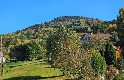 Gîte 4 à 10 Personnes avec sauna" La ferme des Sources" dans les Hautes Vosges - Foto 41
