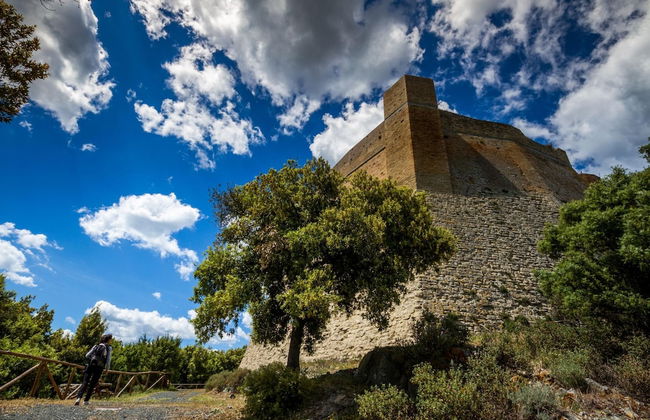 Grano Family Apt Shared Pool Volerra - Photo 31