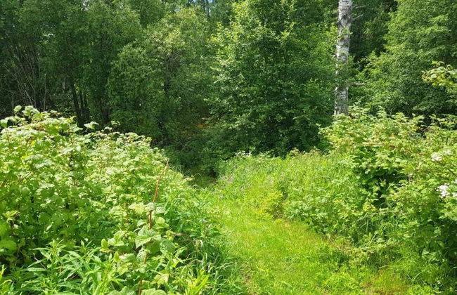 4 Person Holiday Home in Ramsjo-by Traum - Photo 17