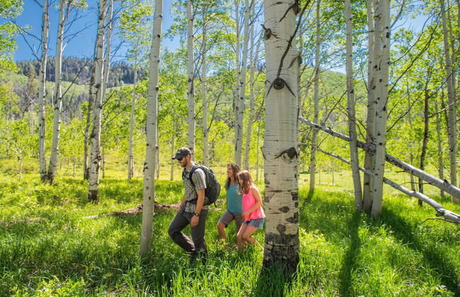 Vista Verde Ranch All-inclusive - Adults Only - Foto 31