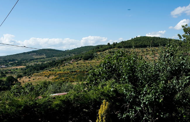 Borgo San Savino - Foto 35