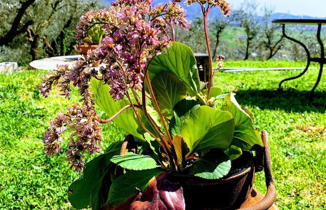 Agriturismo Torre Ercolana - Foto 33