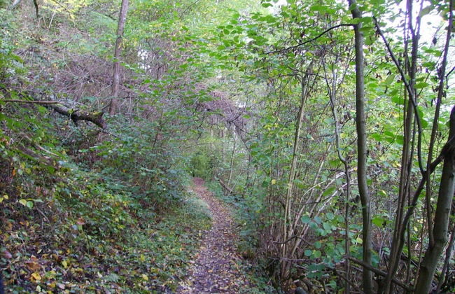 Lovely Modern Apartment, Near the Mosel, Shops and Restaurants - Foto 28