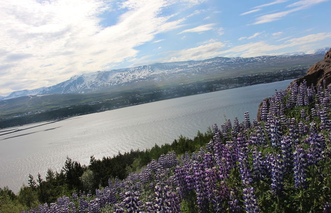 Viking Cottages and Apartments - Foto 74