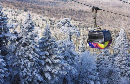 Broad Brook Cabin between Woodstock & Killington - Foto 60