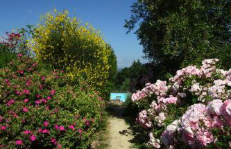 Podere il Pino - Foto 12