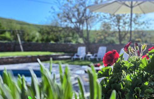 Dalmatia Stone House - heated pool - Foto 80