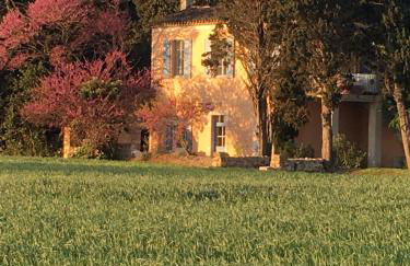 Château Pech-Celeyran - Foto 92