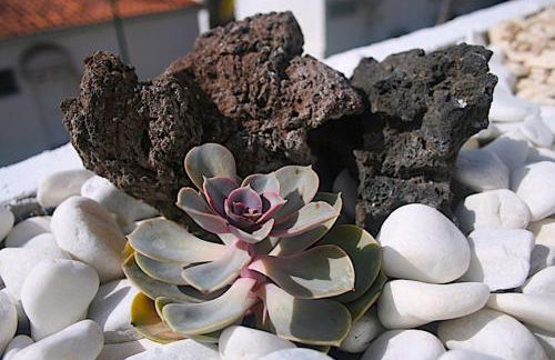 PARAISO TRANQUILIDAD VISTAS MAR y TEIDE - Foto 10