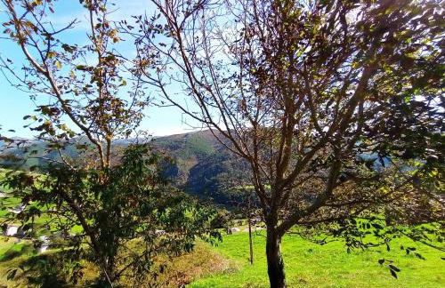 Mirador del Navia - Photo 24