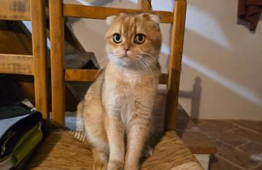 La casina del prete - Foto 59