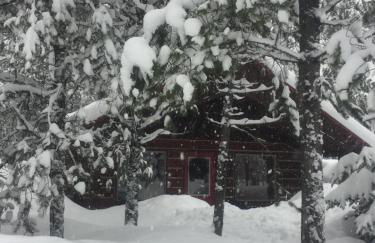 Reclusive Moose Cabins - Photo 15