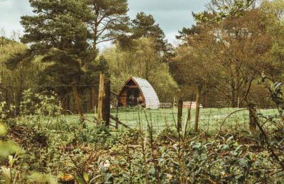 Tempo Manor Cabins - Foto 5