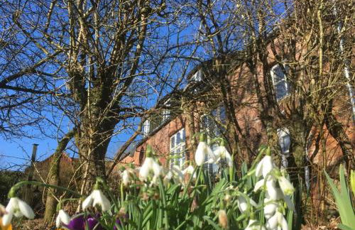Alte Schule Tetenbüll - Foto 8