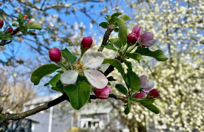 Roadhaven 1830 - Foto 53