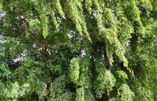 Confort y Relajacion - Foto 9